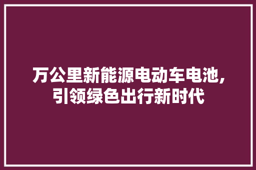 万公里新能源电动车电池,引领绿色出行新时代