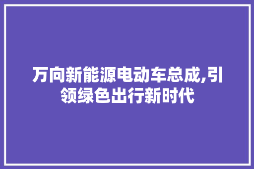 万向新能源电动车总成,引领绿色出行新时代