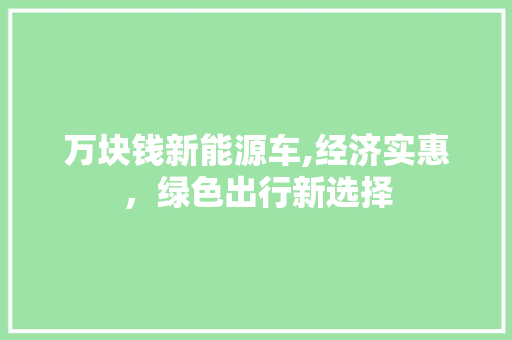 万块钱新能源车,经济实惠，绿色出行新选择 发动机配件