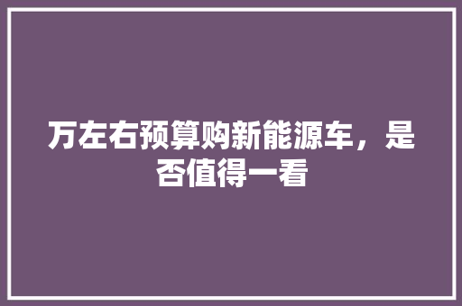 万左右预算购新能源车，是否值得一看