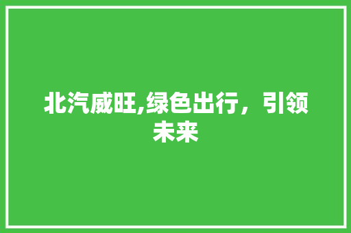 北汽威旺,绿色出行，引领未来