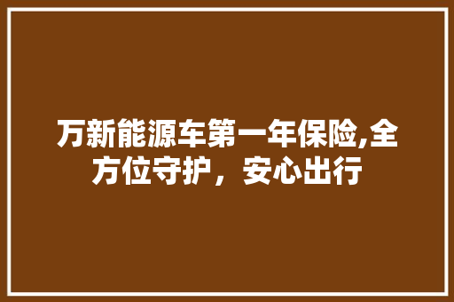 万新能源车第一年保险,全方位守护，安心出行