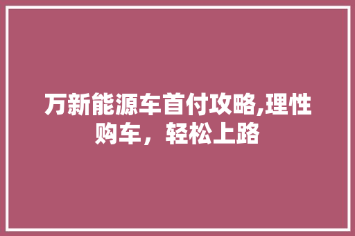 万新能源车首付攻略,理性购车，轻松上路