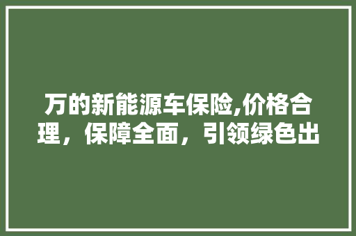 万的新能源车保险,价格合理，保障全面，引领绿色出行新潮流