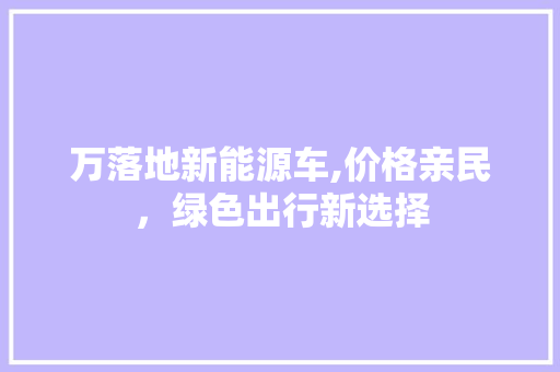 万落地新能源车,价格亲民，绿色出行新选择