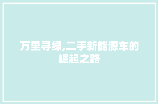 万里寻绿,二手新能源车的崛起之路 发动机配件