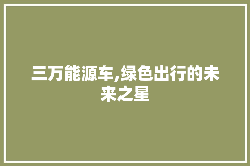 三万能源车,绿色出行的未来之星