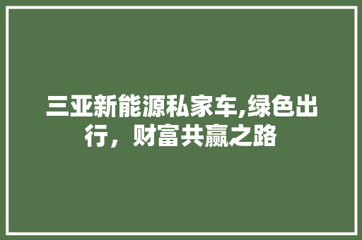 三亚新能源私家车,绿色出行，财富共赢之路
