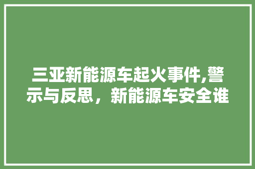 三亚新能源车起火事件,警示与反思，新能源车安全谁来守护