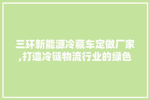 三环新能源冷藏车定做厂家,打造冷链物流行业的绿色“守护者”
