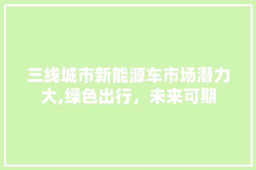三线城市新能源车市场潜力大,绿色出行，未来可期