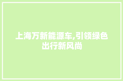 上海万新能源车,引领绿色出行新风尚