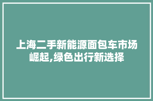 上海二手新能源面包车市场崛起,绿色出行新选择