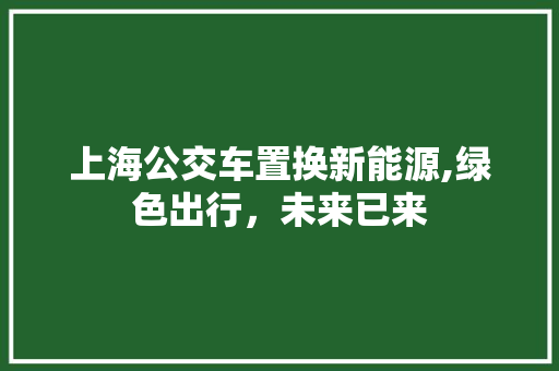 上海公交车置换新能源,绿色出行，未来已来