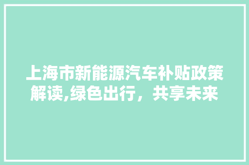 上海市新能源汽车补贴政策解读,绿色出行，共享未来
