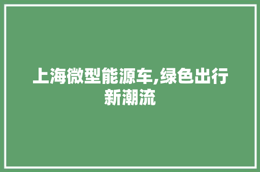 上海微型能源车,绿色出行新潮流