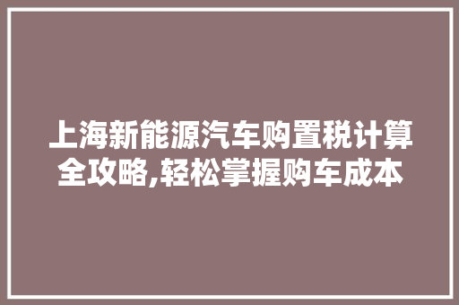 上海新能源汽车购置税计算全攻略,轻松掌握购车成本