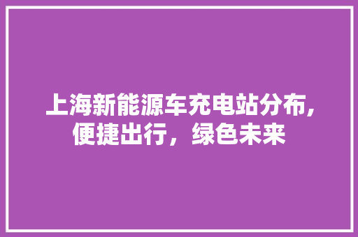 上海新能源车充电站分布,便捷出行，绿色未来