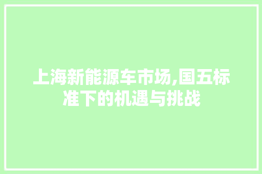 上海新能源车市场,国五标准下的机遇与挑战