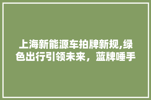 上海新能源车拍牌新规,绿色出行引领未来，蓝牌唾手可得