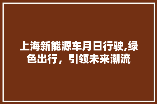 上海新能源车月日行驶,绿色出行，引领未来潮流