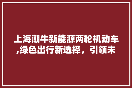 上海潮牛新能源两轮机动车,绿色出行新选择，引领未来出行潮流