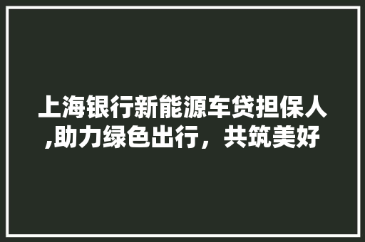 上海银行新能源车贷担保人,助力绿色出行，共筑美好未来