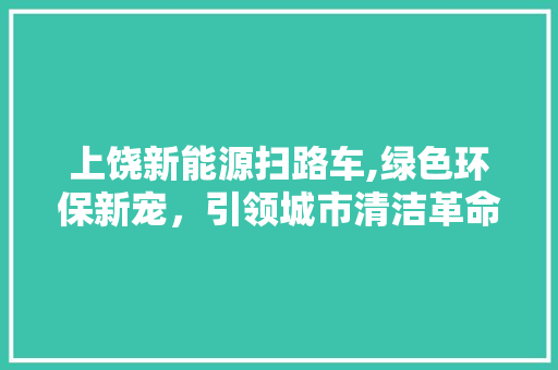 上饶新能源扫路车,绿色环保新宠，引领城市清洁革命