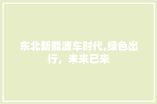 东北新能源车时代,绿色出行，未来已来