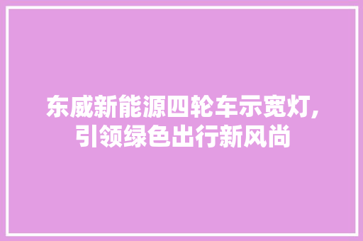 东威新能源四轮车示宽灯,引领绿色出行新风尚