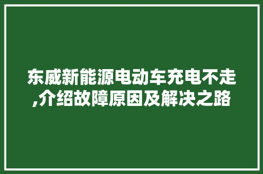 东威新能源电动车充电不走,介绍故障原因及解决之路