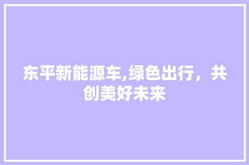 东平新能源车,绿色出行，共创美好未来