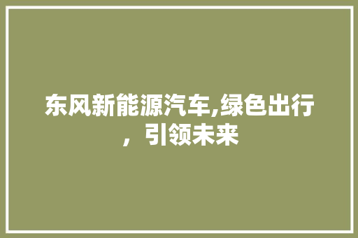 东风新能源汽车,绿色出行，引领未来
