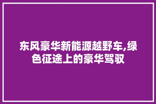 东风豪华新能源越野车,绿色征途上的豪华驾驭