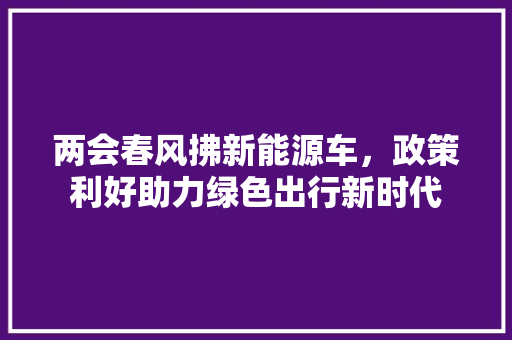 两会春风拂新能源车，政策利好助力绿色出行新时代