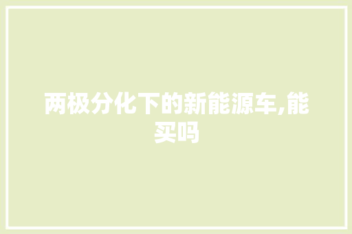 两极分化下的新能源车,能买吗
