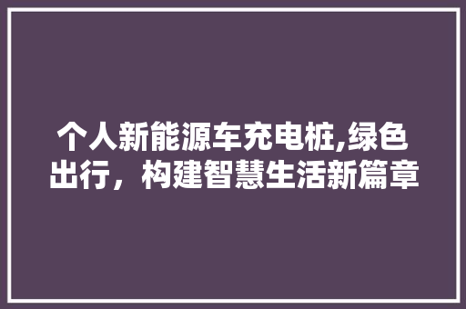 个人新能源车充电桩,绿色出行，构建智慧生活新篇章