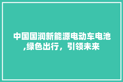 中国国润新能源电动车电池,绿色出行，引领未来