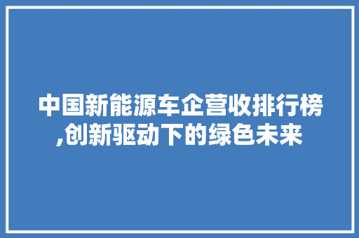 中国新能源车企营收排行榜,创新驱动下的绿色未来