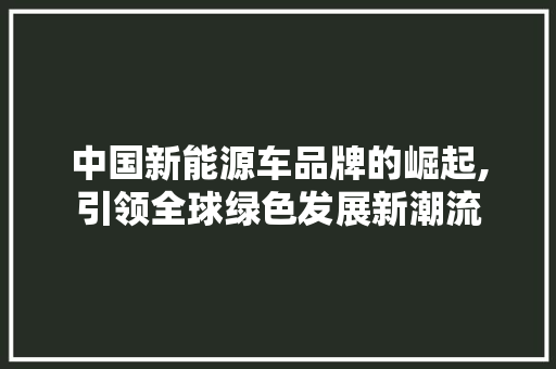 中国新能源车品牌的崛起,引领全球绿色发展新潮流