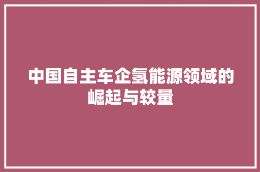 中国自主车企氢能源领域的崛起与较量