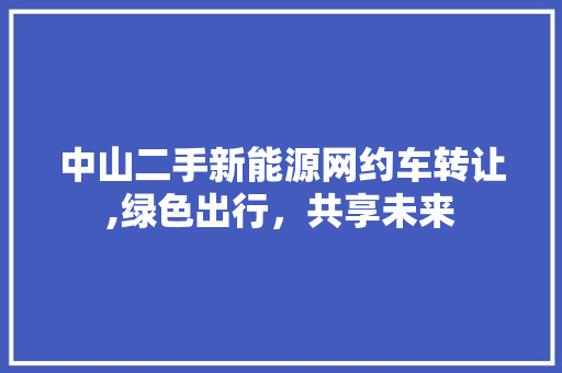 中山二手新能源网约车转让,绿色出行，共享未来