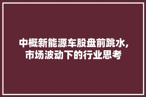 中概新能源车股盘前跳水,市场波动下的行业思考