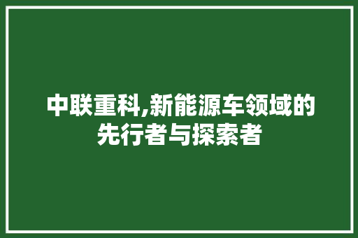 中联重科,新能源车领域的先行者与探索者