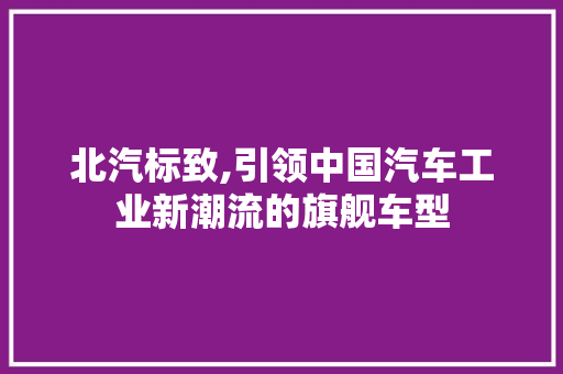 北汽标致,引领中国汽车工业新潮流的旗舰车型