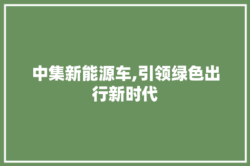 中集新能源车,引领绿色出行新时代