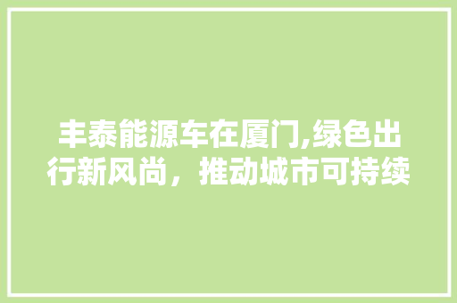 丰泰能源车在厦门,绿色出行新风尚，推动城市可持续发展