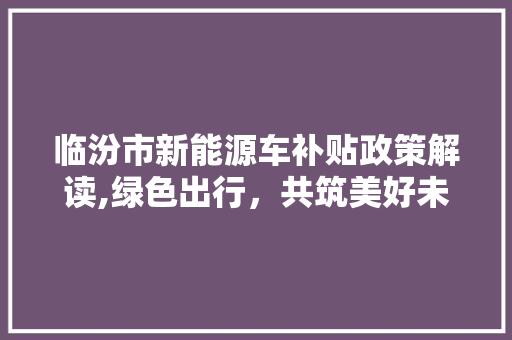 临汾市新能源车补贴政策解读,绿色出行，共筑美好未来 新能源汽车