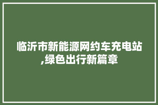 临沂市新能源网约车充电站,绿色出行新篇章