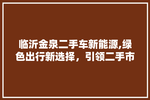 临沂金泉二手车新能源,绿色出行新选择，引领二手市场新风尚